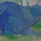 Image for article titled The surreal swirls of ocean plankton blooms, seen from space